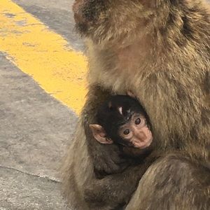 Meet your Posher, Yvonne